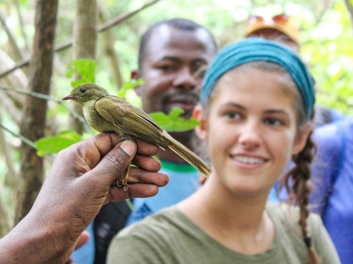 Student observes bird research in Jozani