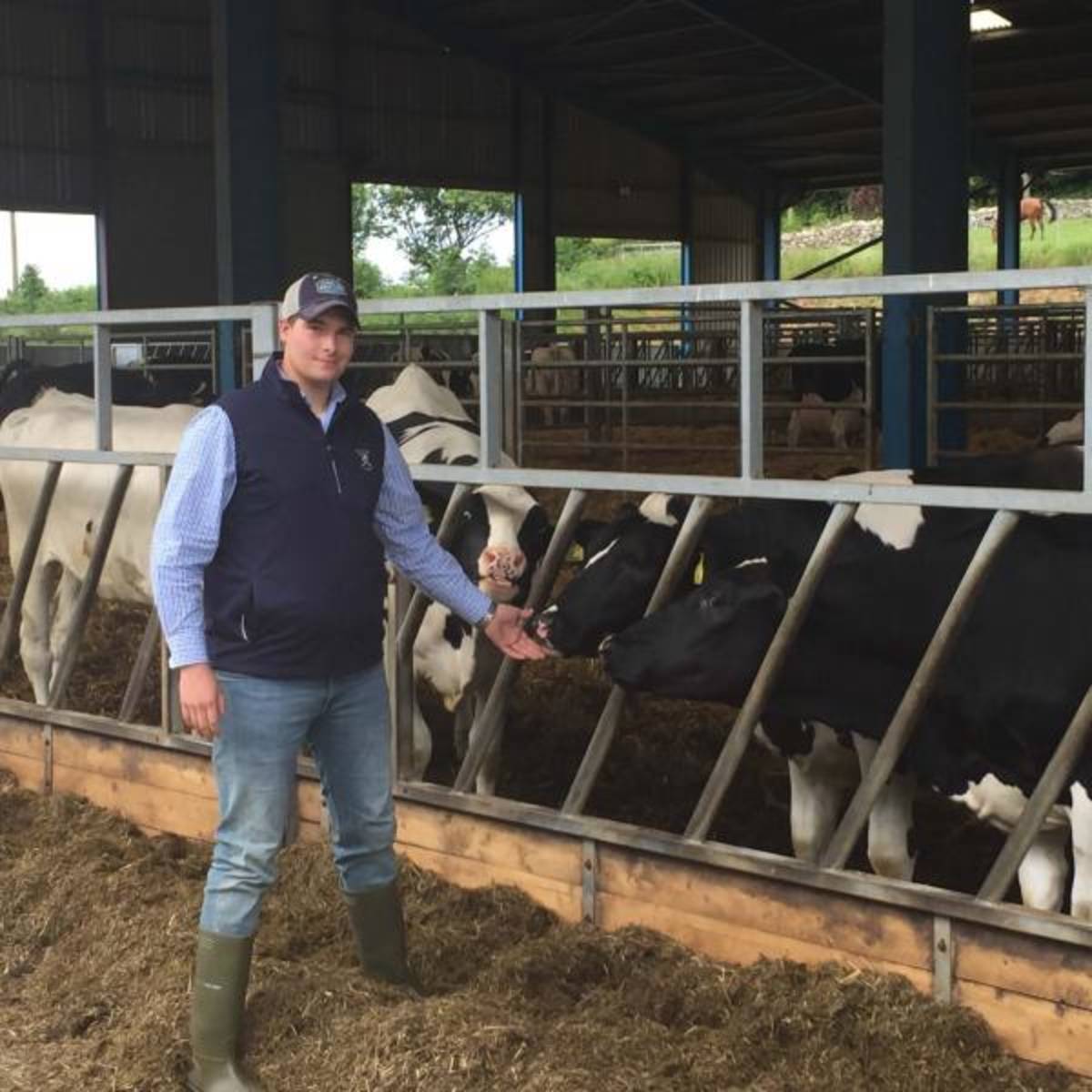 Student observing livestock and farm operations during summer agricultural internship in Edinburgh, Scotland.