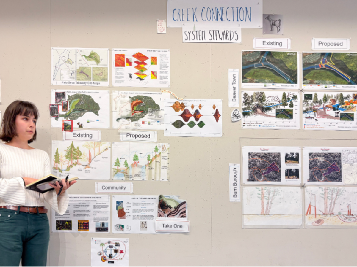 Student standing next to pin-ups, explaining