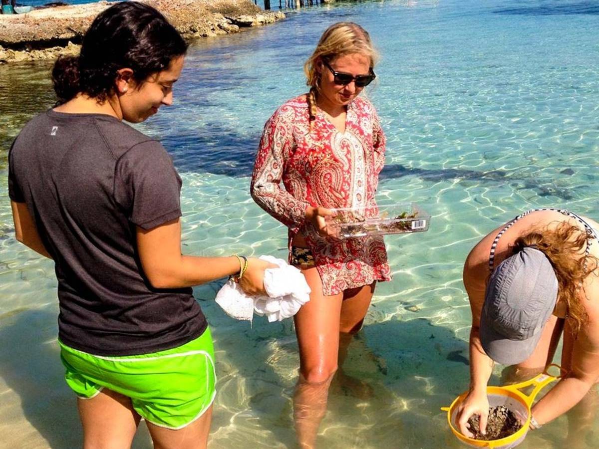 Students conducting research on beach in Panama