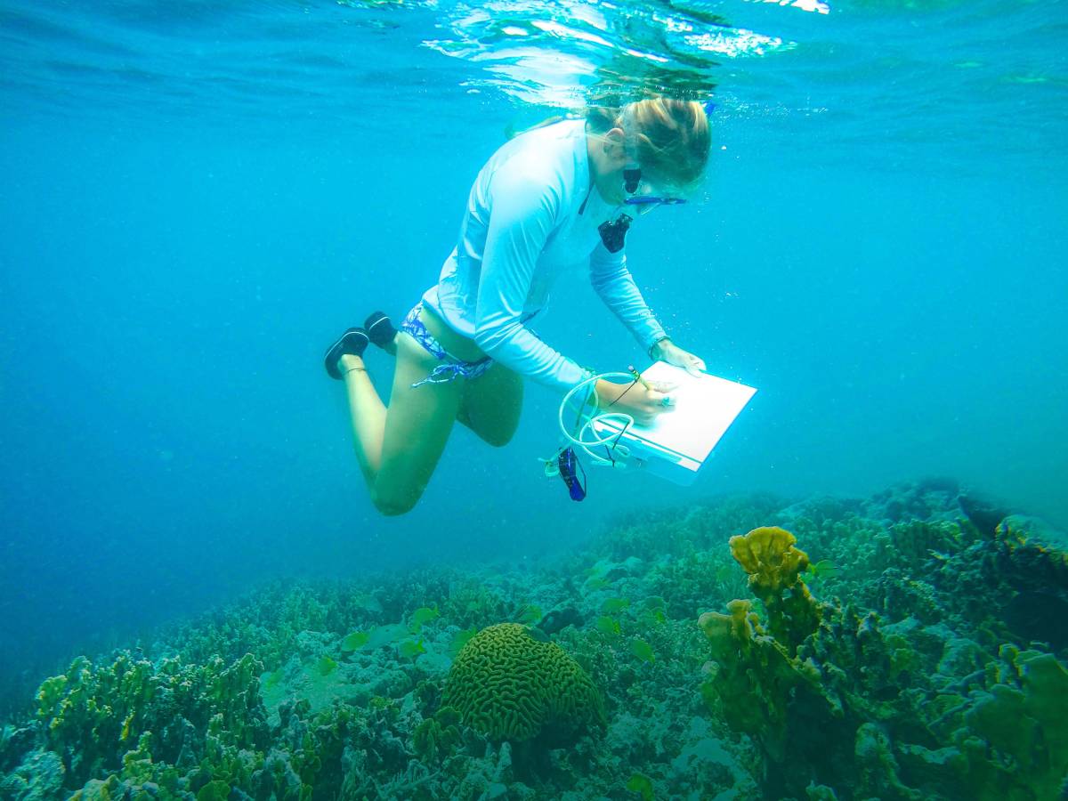 Students conducting research underwater in Panama