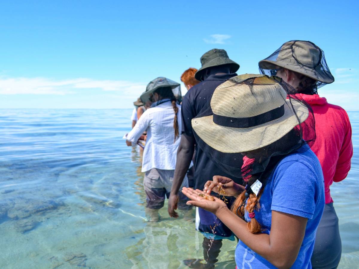 Students doing research on the reef in Australia