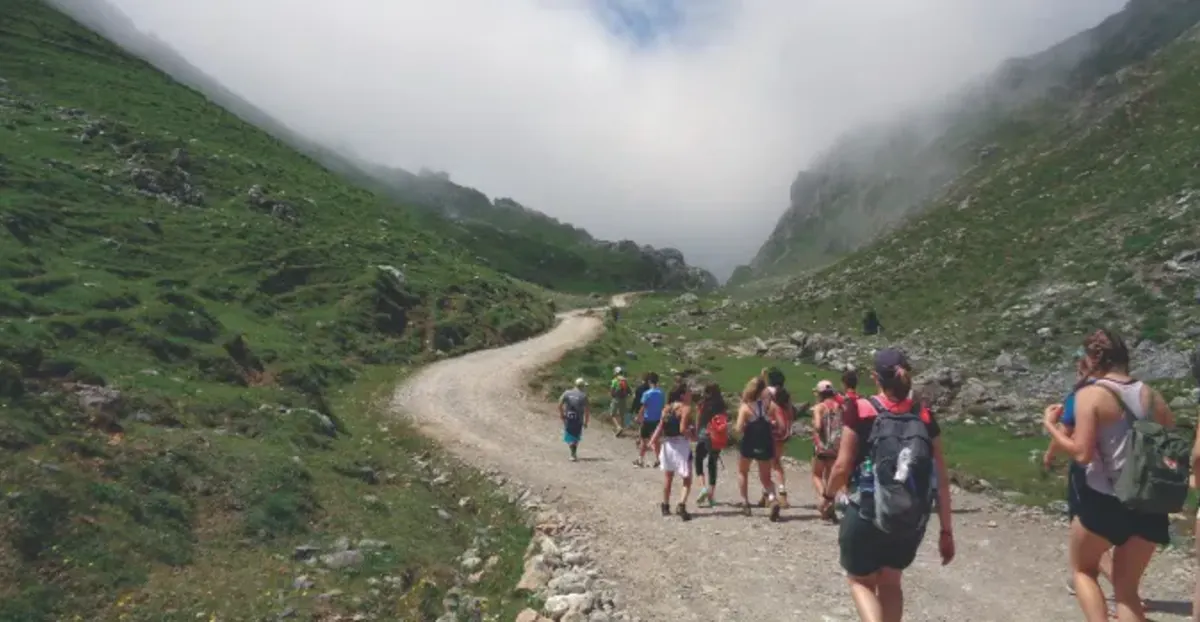 Students hiking