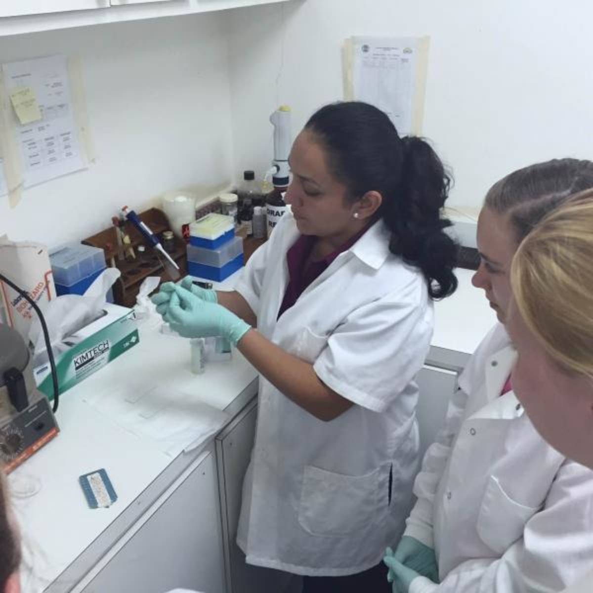 students learn about water quality testing 