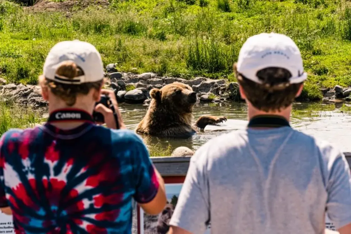 Students photograph a bear