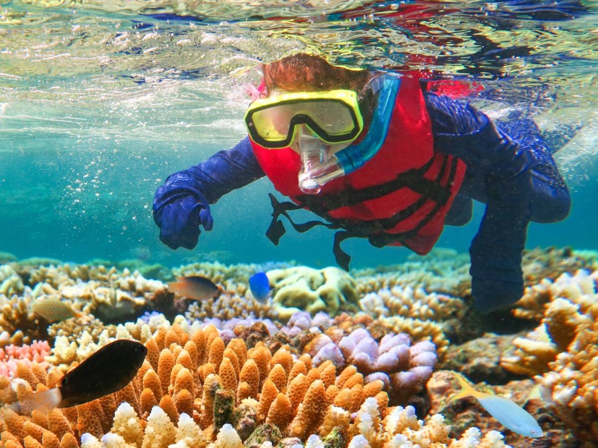 Students snorkeling the Great Barrier Reef