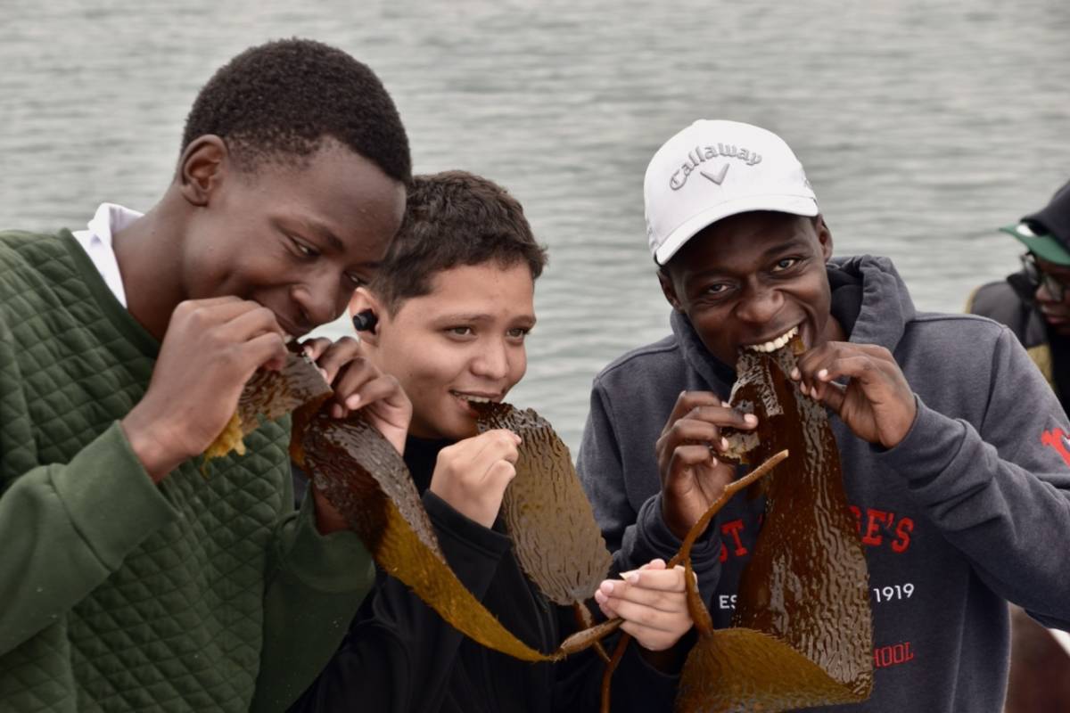 Students tasting kelp on an offshore boat trip