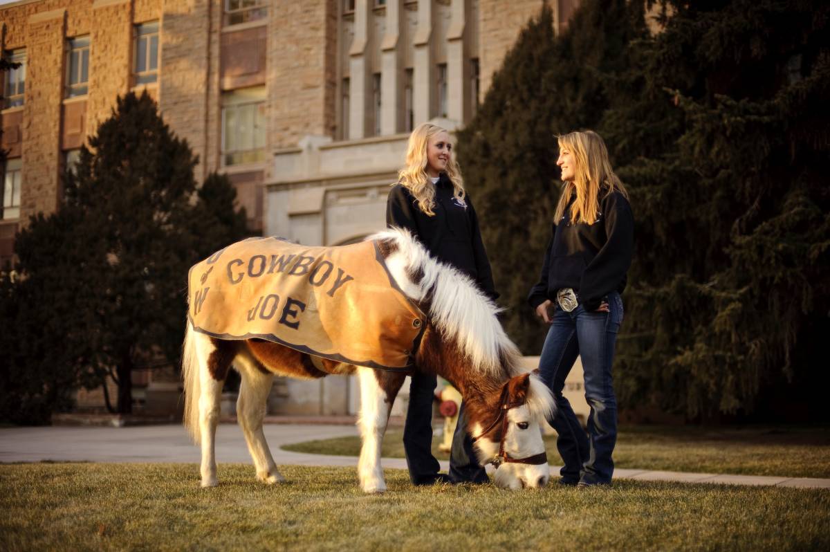 Study Abroad in the USA (University of Wyoming)