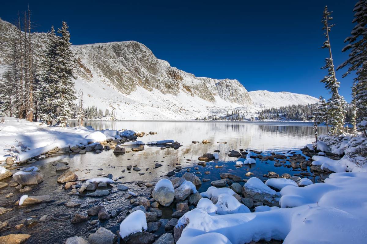 Study Abroad in the USA (University of Wyoming)