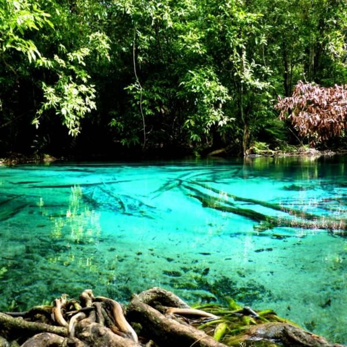 GoEco Thailand - Coastal Marine Conservation in Phang Nga