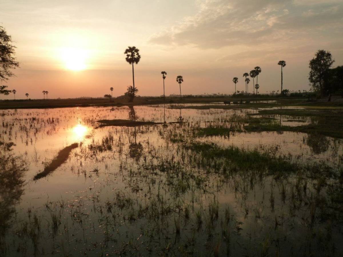 Sunset in Cambodia