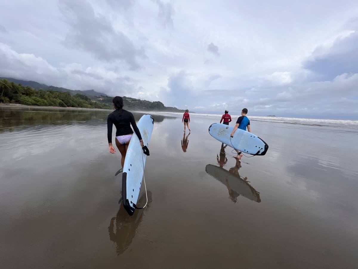 Surfing