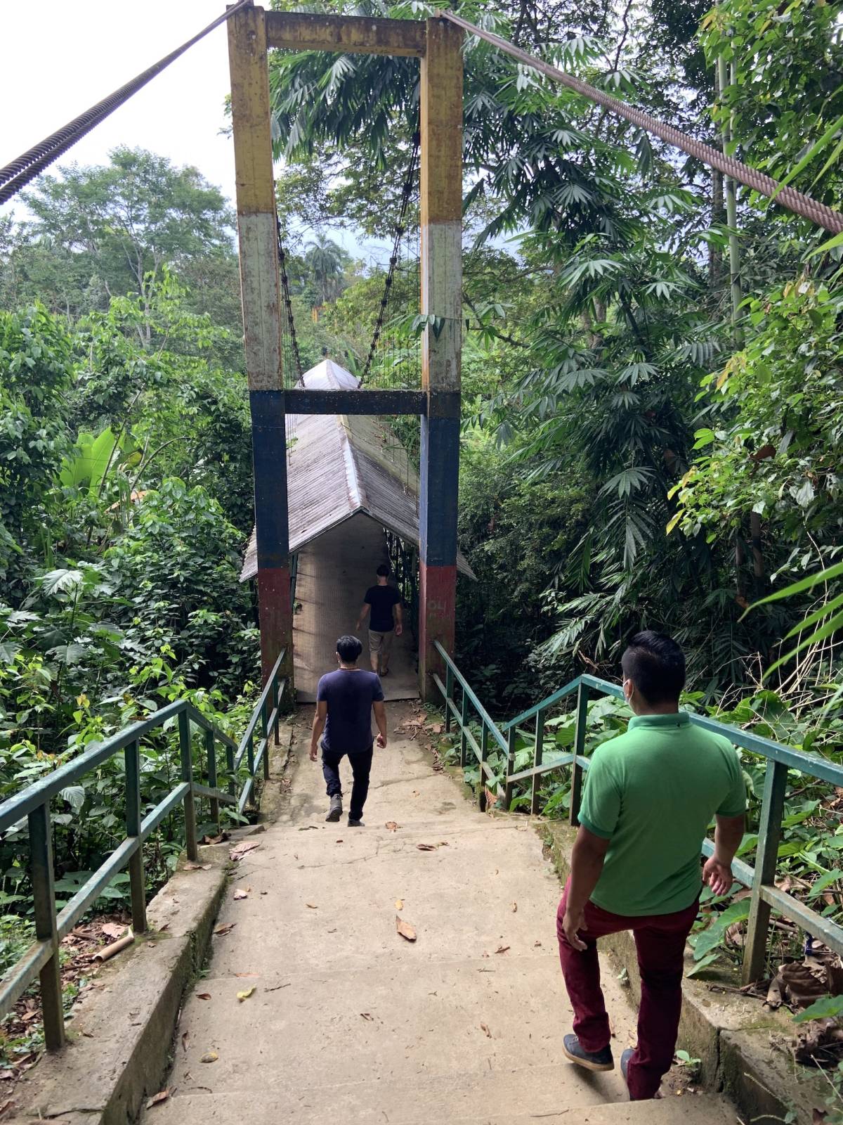 Sustainability and Ecotourism Internship, Ecuador