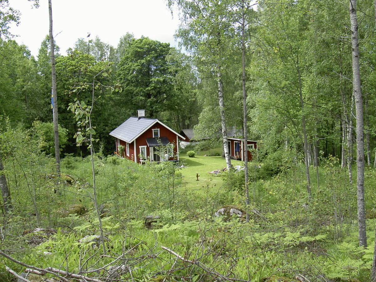 Swedish Cabin