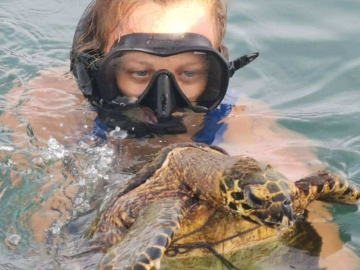 Swimming with turtle