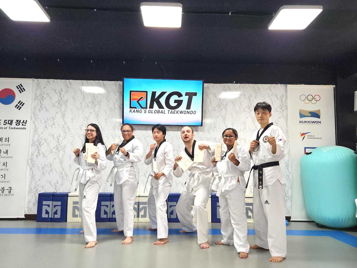 Taekwondo Lesson