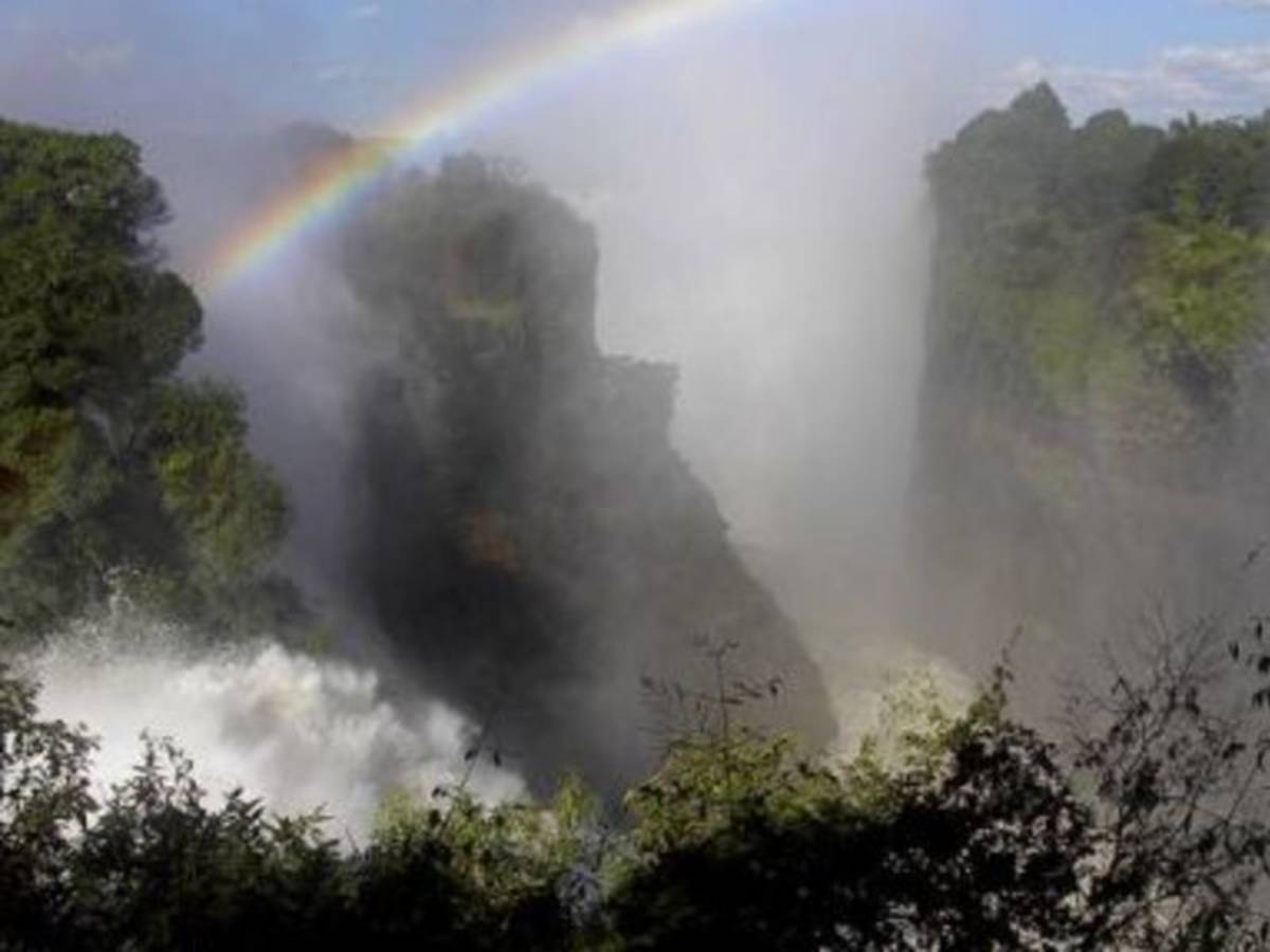 tall fall with a rainbow