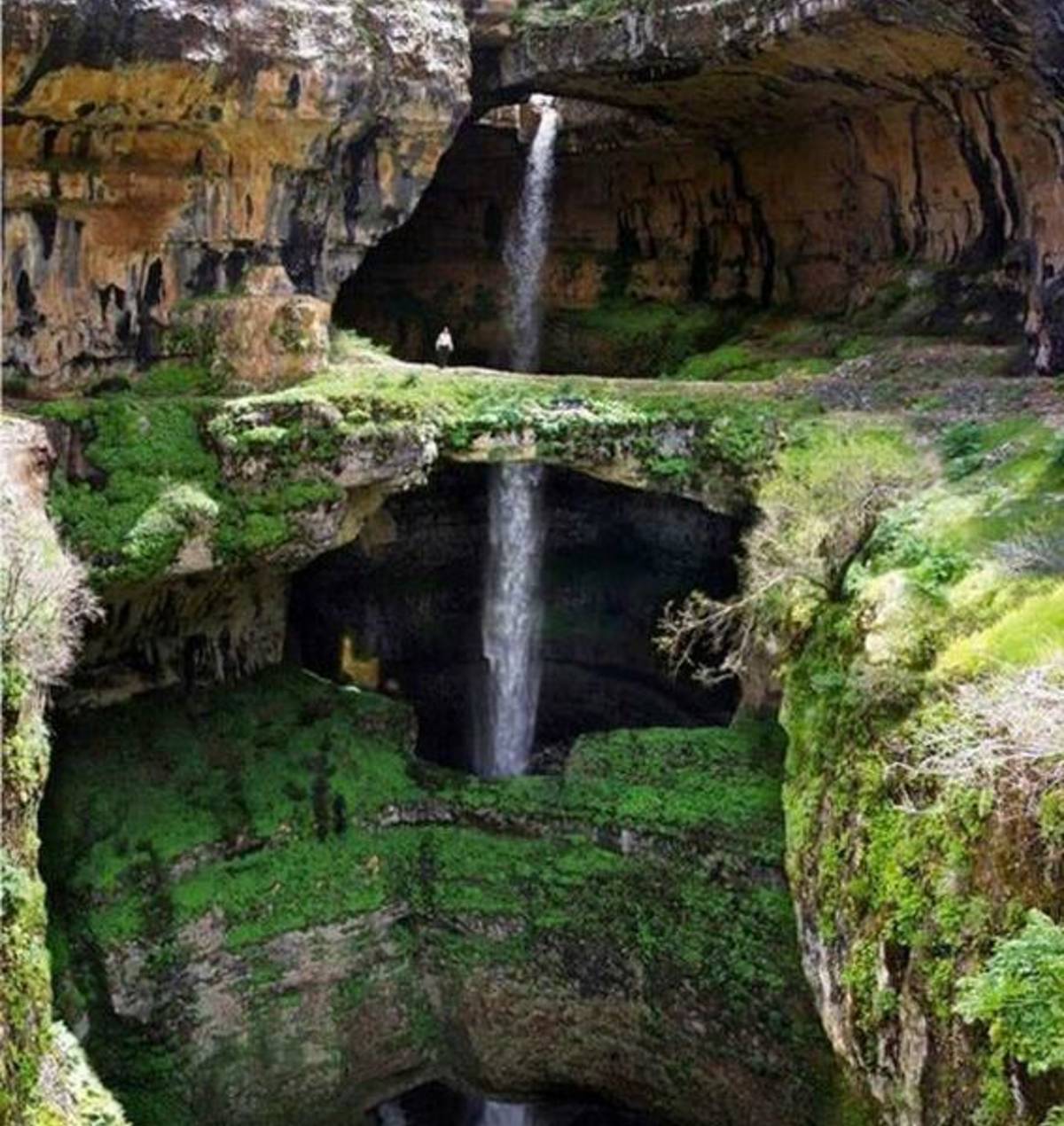 The Tannourine Nature Reserve