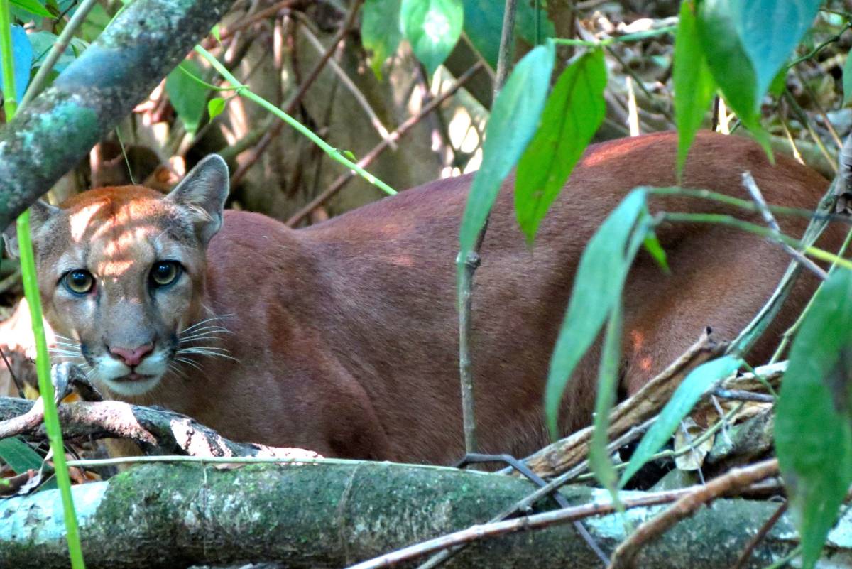 Study Abroad in Monteverde, Costa Rica