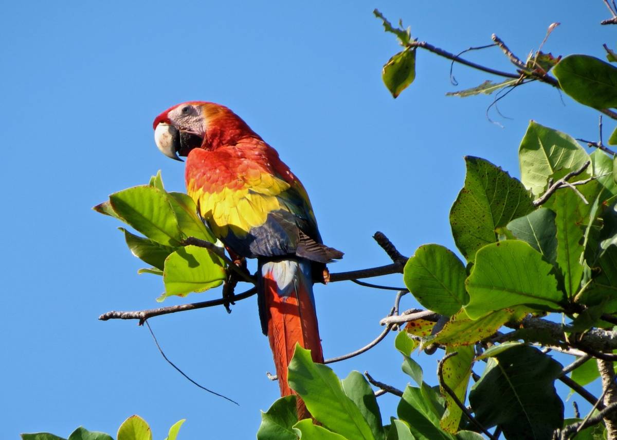 Study Abroad in Monteverde, Costa Rica