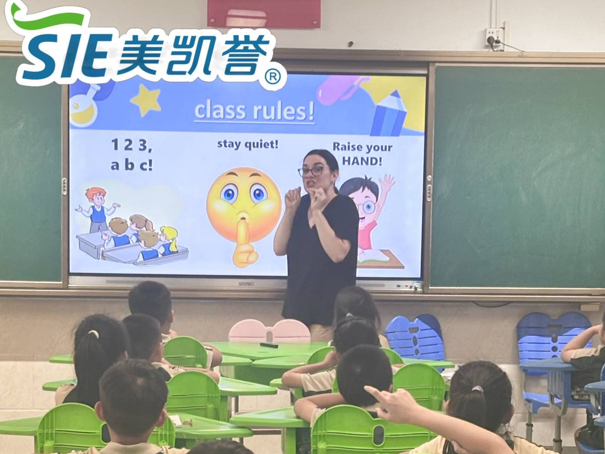 Teaching with SIE