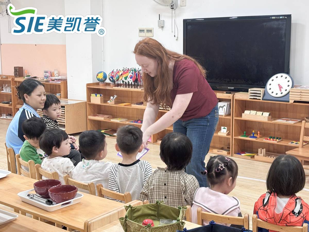 Teaching with SIE
