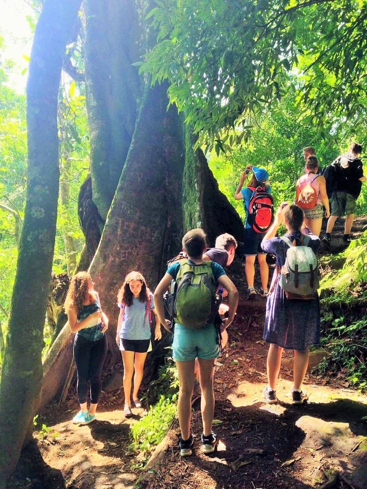 teens exploring the big trees