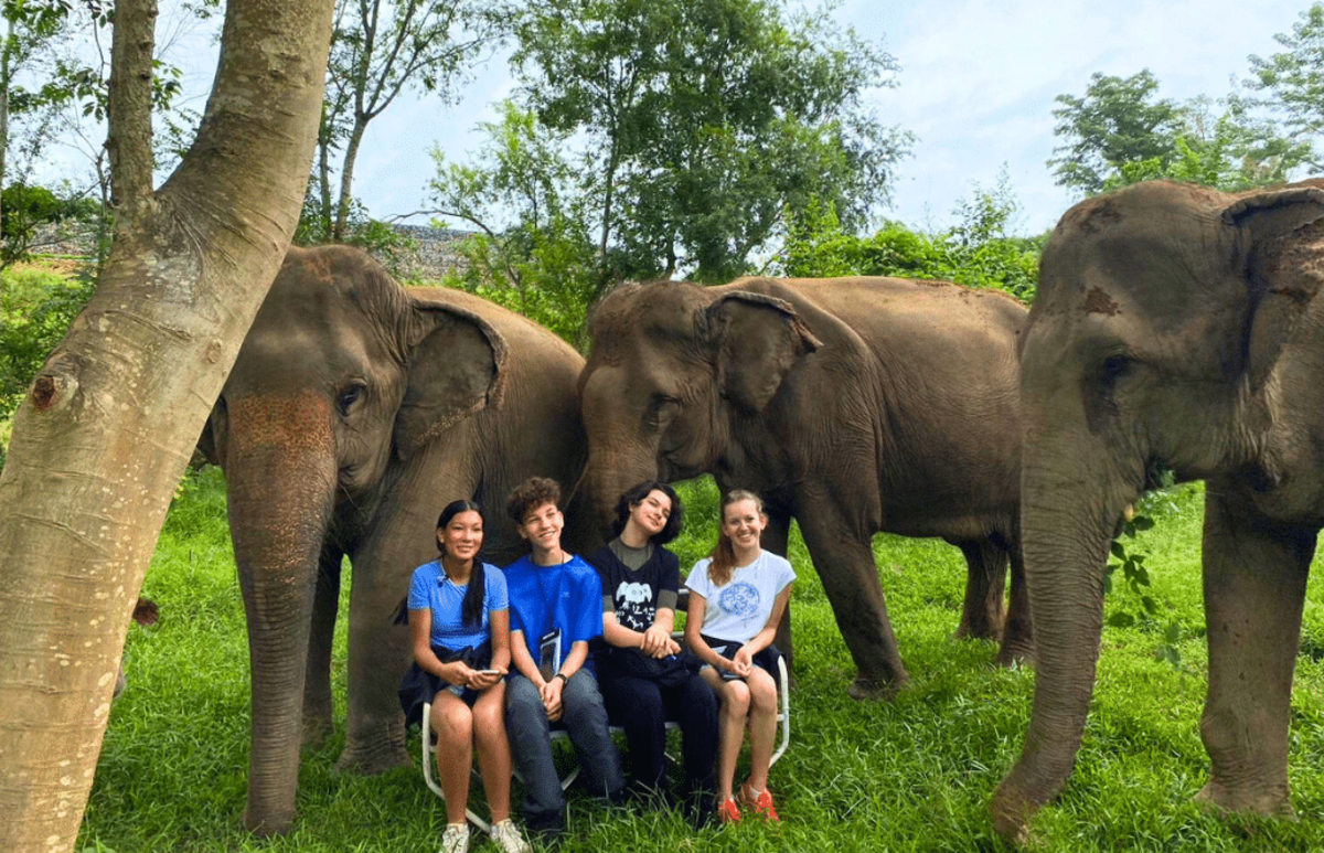 Thailand – Elephants & Community Building for Teenagers