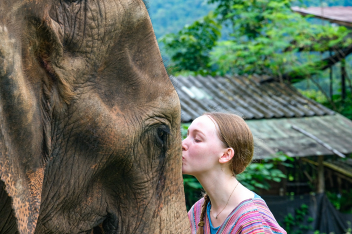 Thailand Mid Teen Summer Program - Elephant Sanctuary