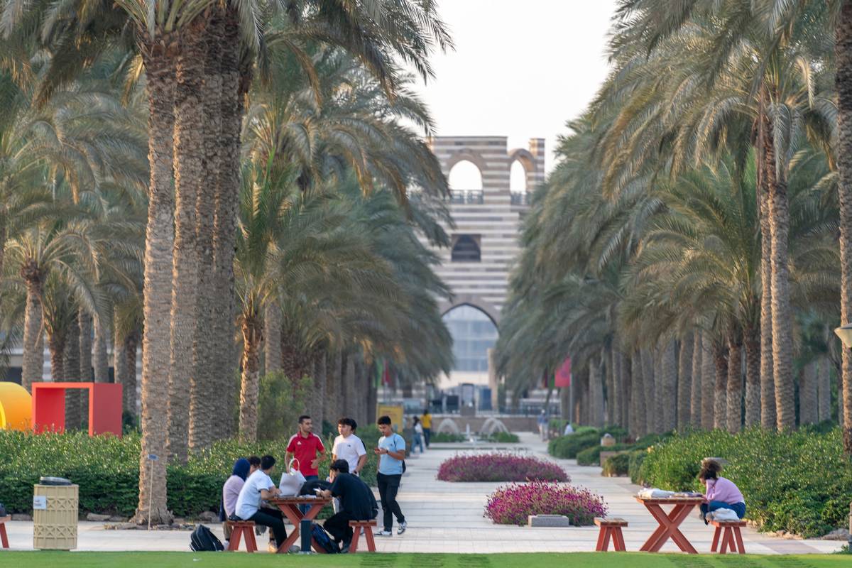 The American University in Cairo