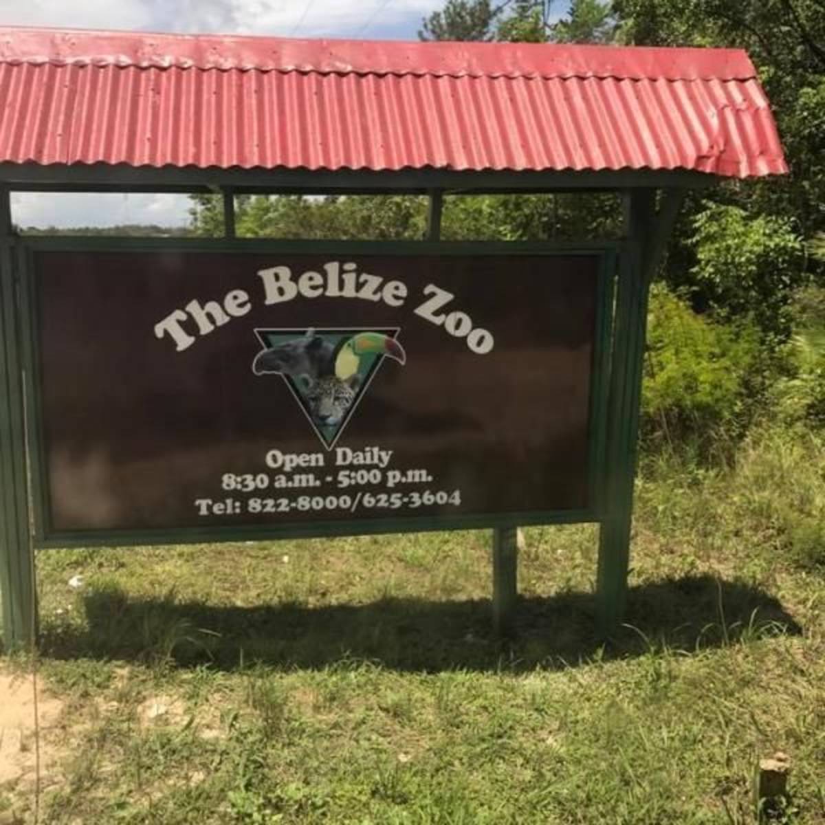 TBZ sign