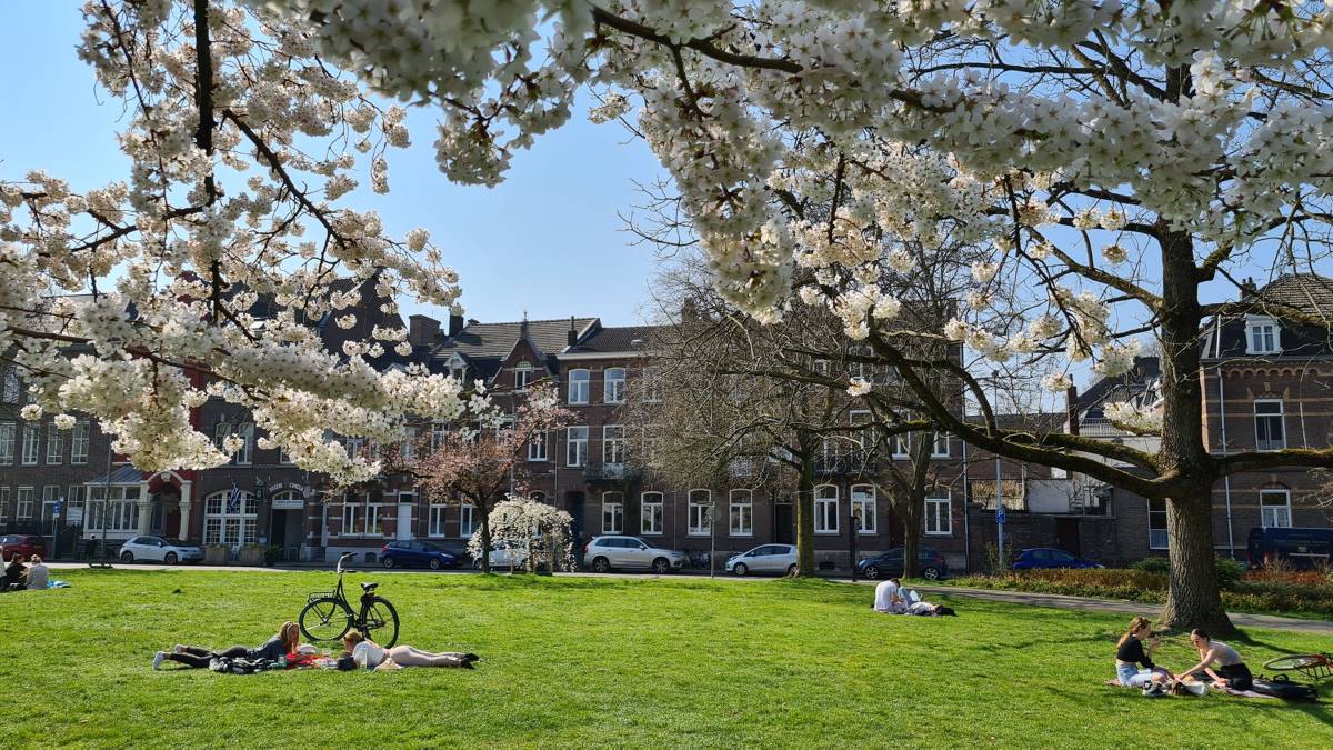 The city park in Maastricht in spring