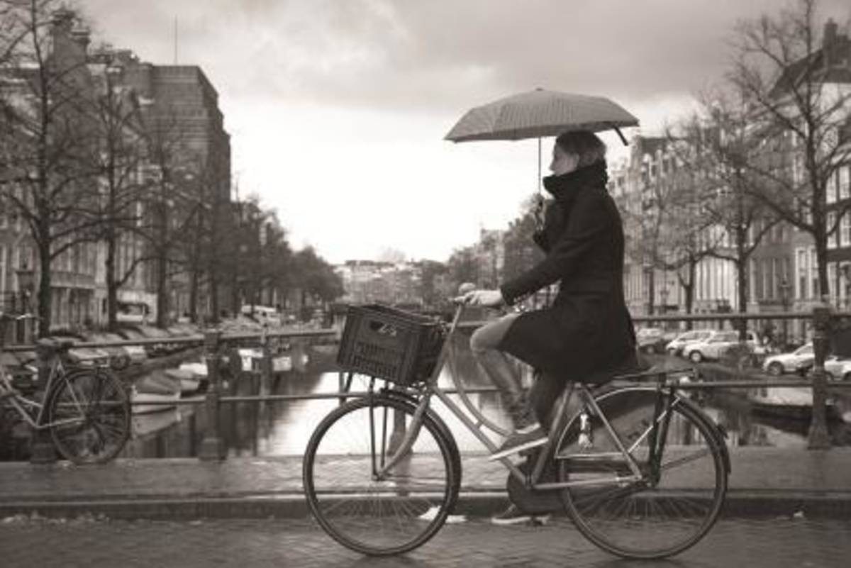 USAC The Netherlands: The Hague - Undergraduate Courses — photo 4