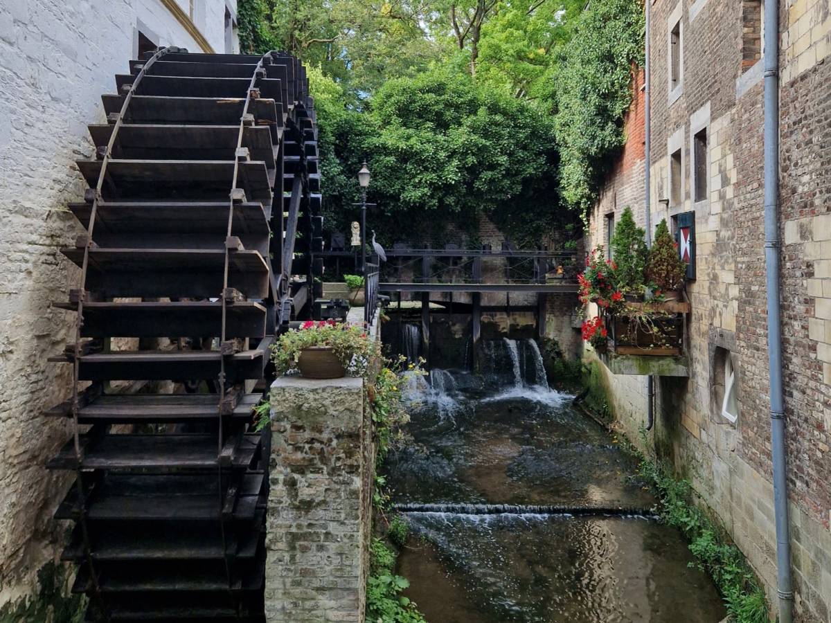 The historic Lion's mill in Maastricht