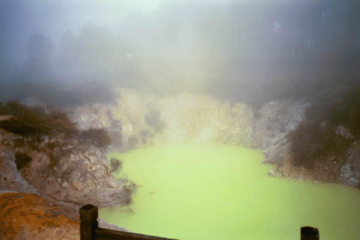 Thermal spring Environmental Conservation North Island in New Zealand