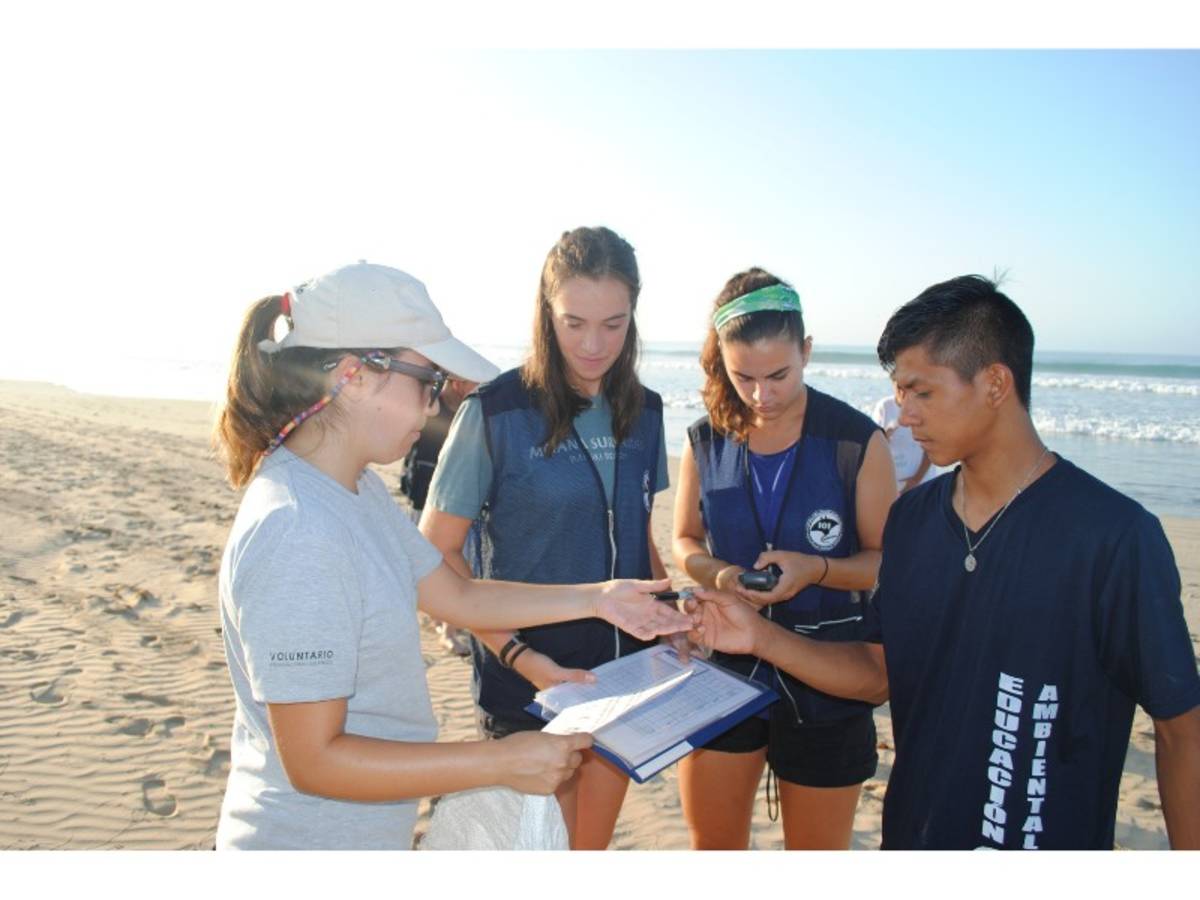 This image shows a group of people participating in an activity on a beach.