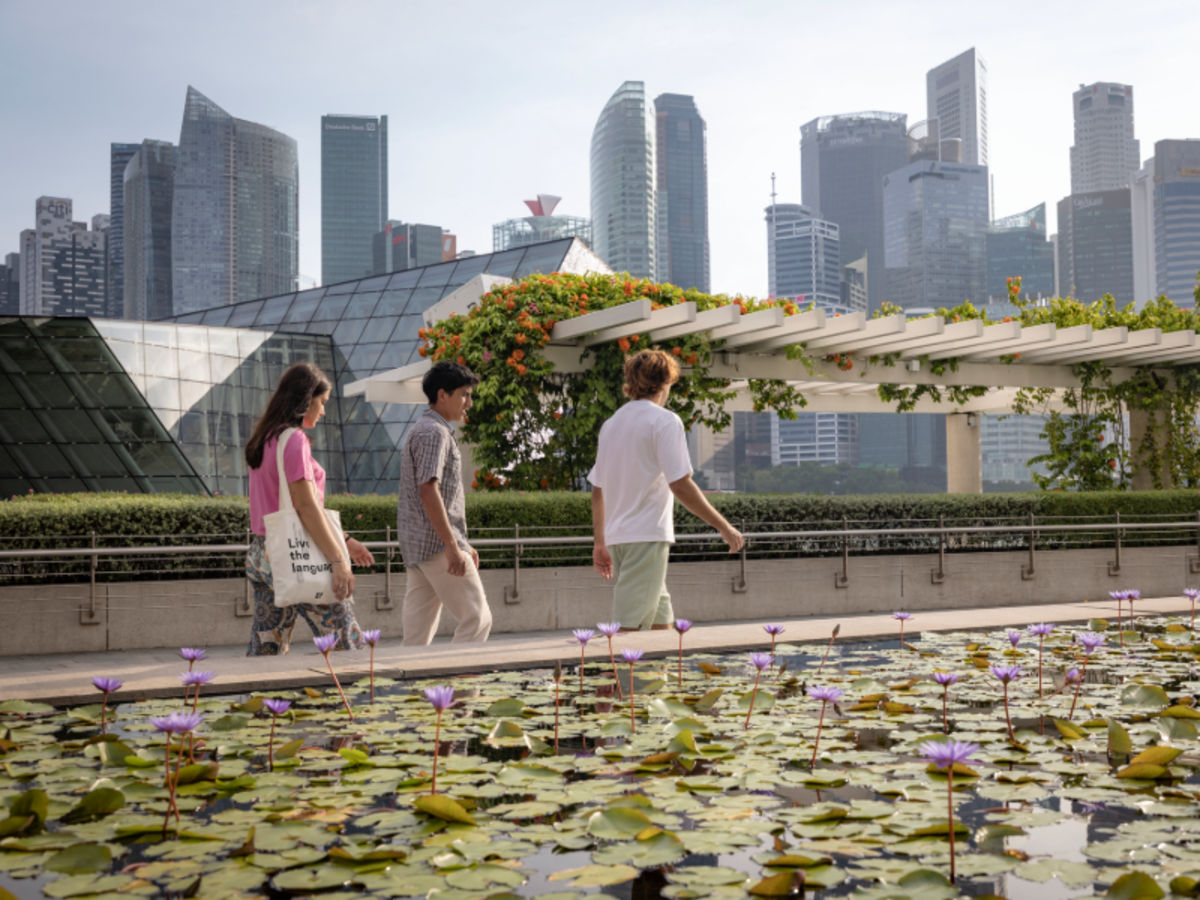 Three EF students walking past a lotus pond in Singapore with the modern city skyline in the background.