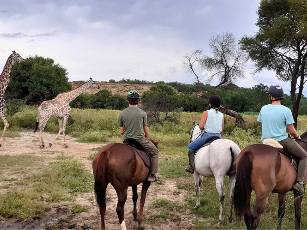 Three people on horseback watch two giraffes walking across a grassy landscape. The scene is serene, under a cloudy sky, evoking a sense of adventure.