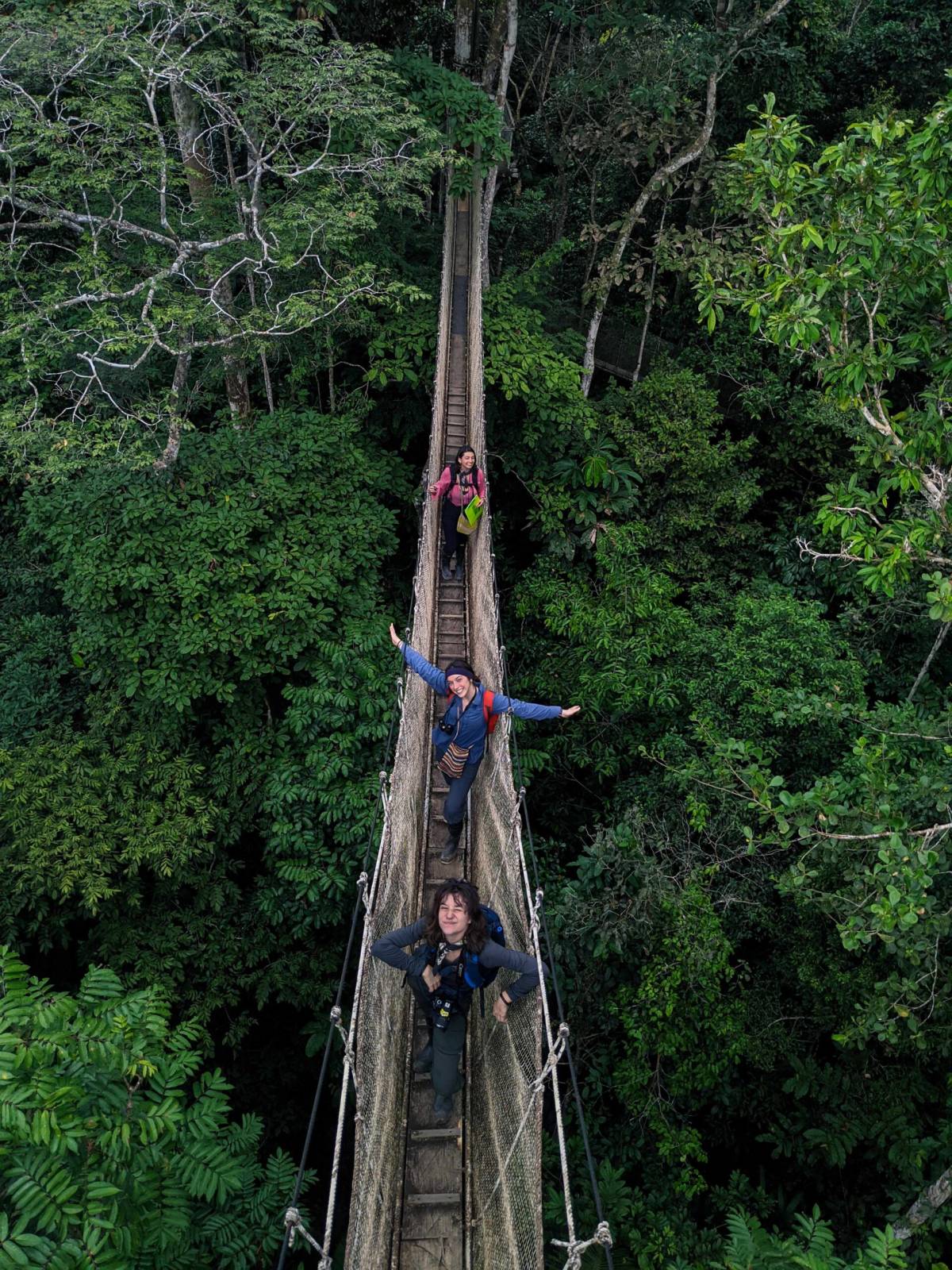 Three people stand on a narrow rope bridge suspended above dense green forest, surrounded by tall trees.