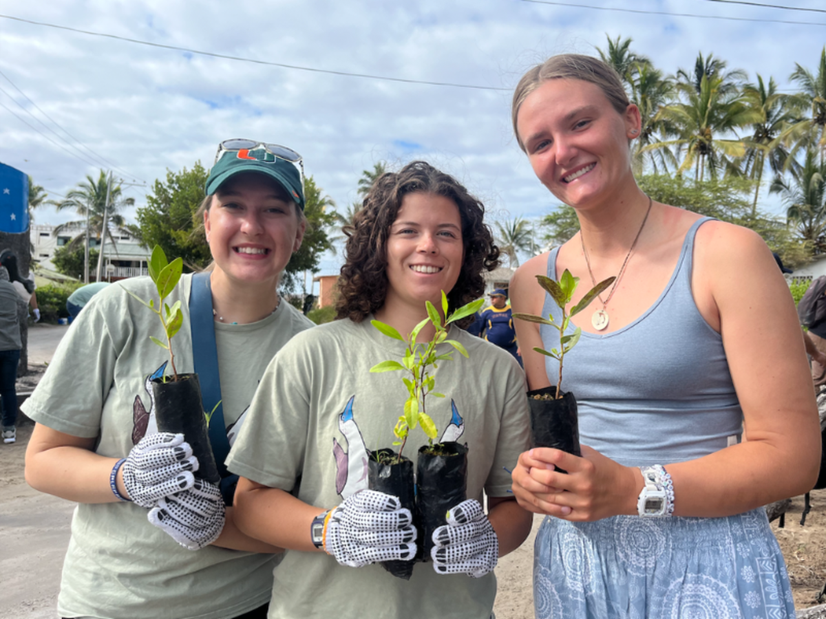 three women holding seedlings