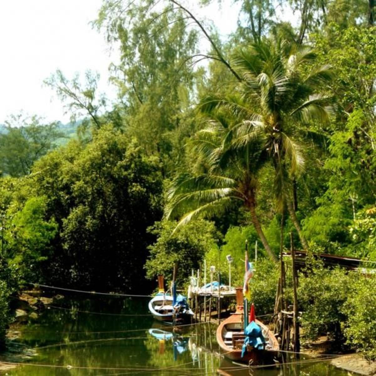 GoEco Thailand - Coastal Marine Conservation in Phang Nga