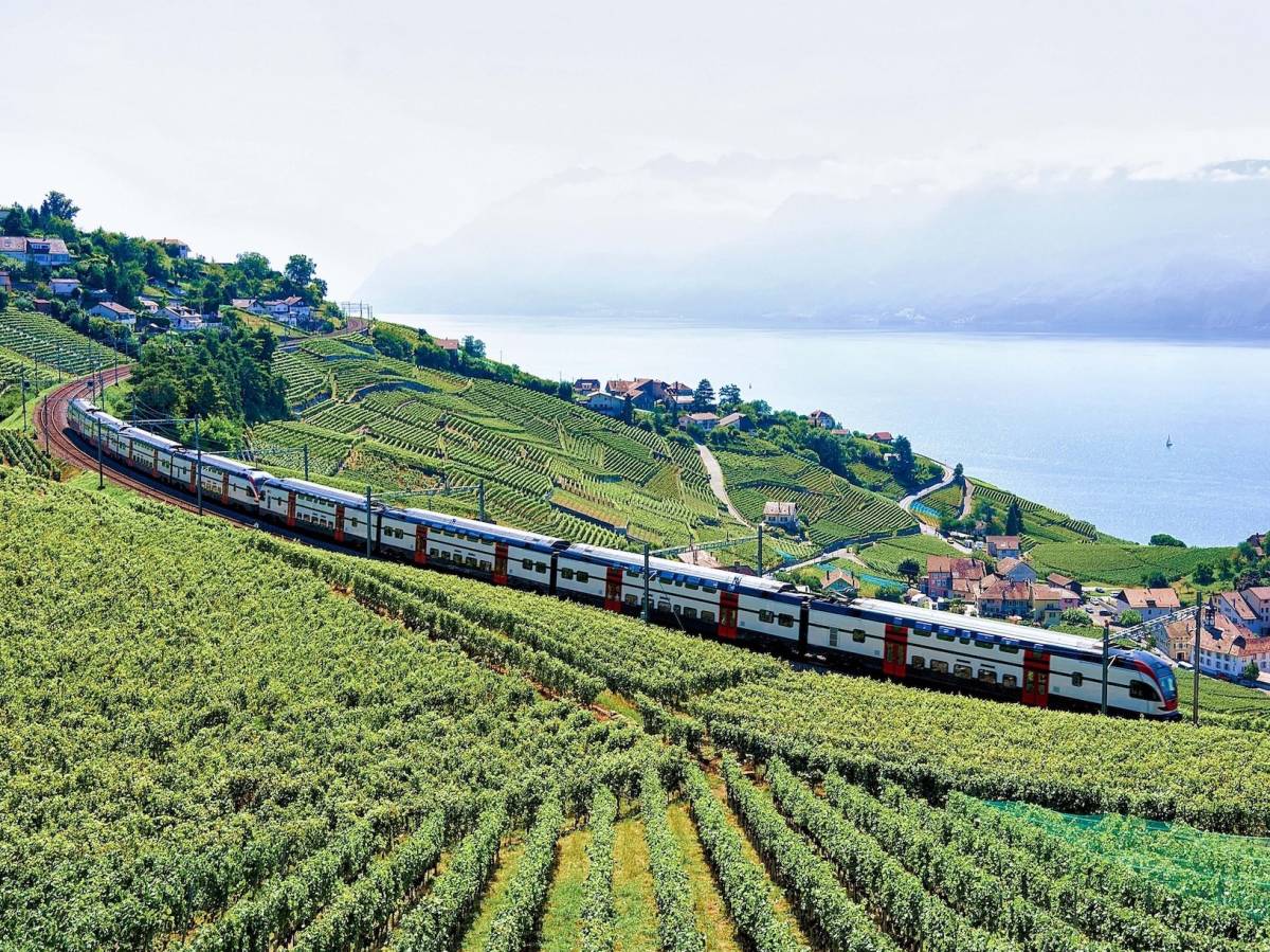 Train winding through a winery in Switzerland