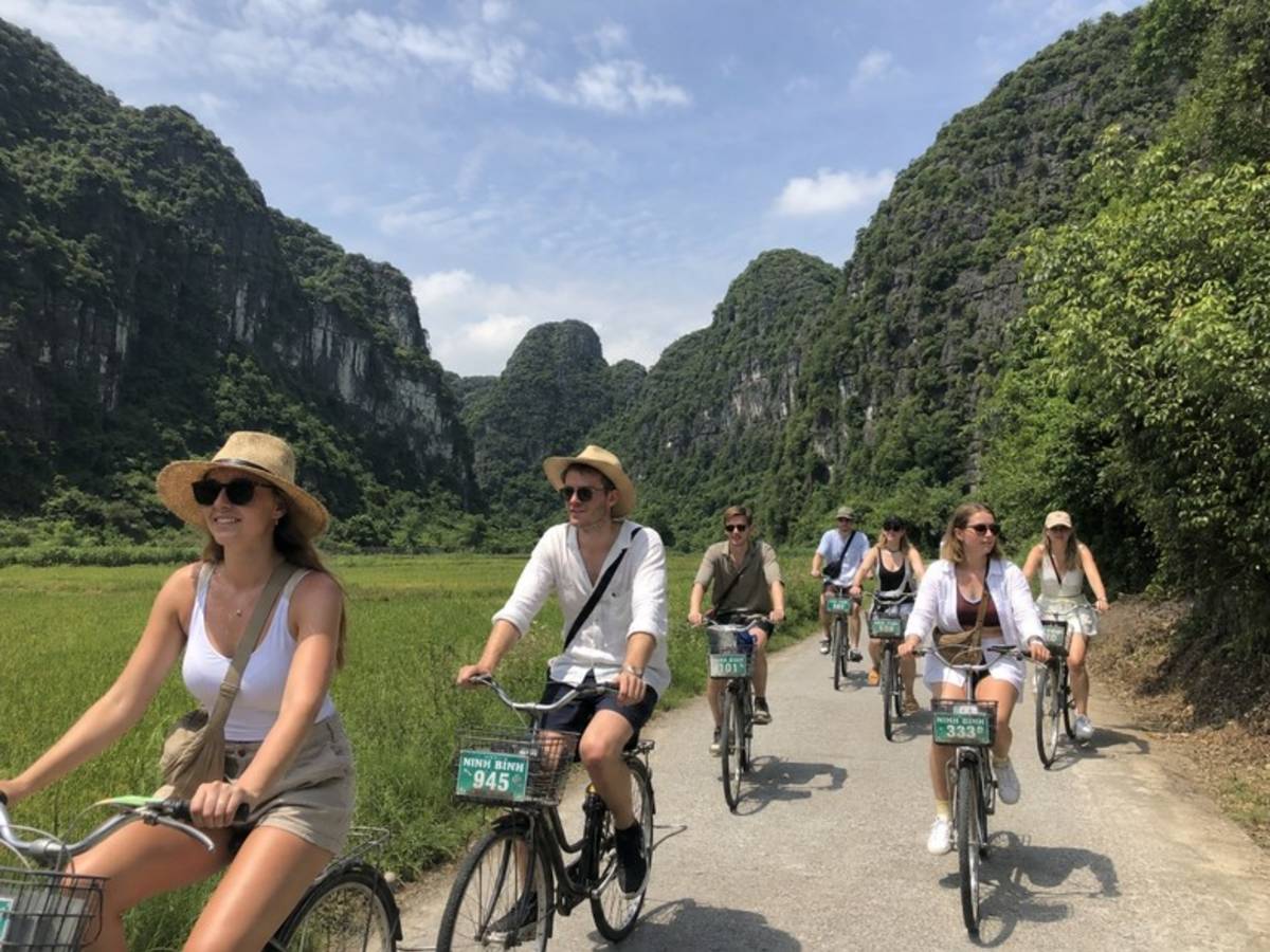 Travellers cycling through rice fields in Ninh Binh