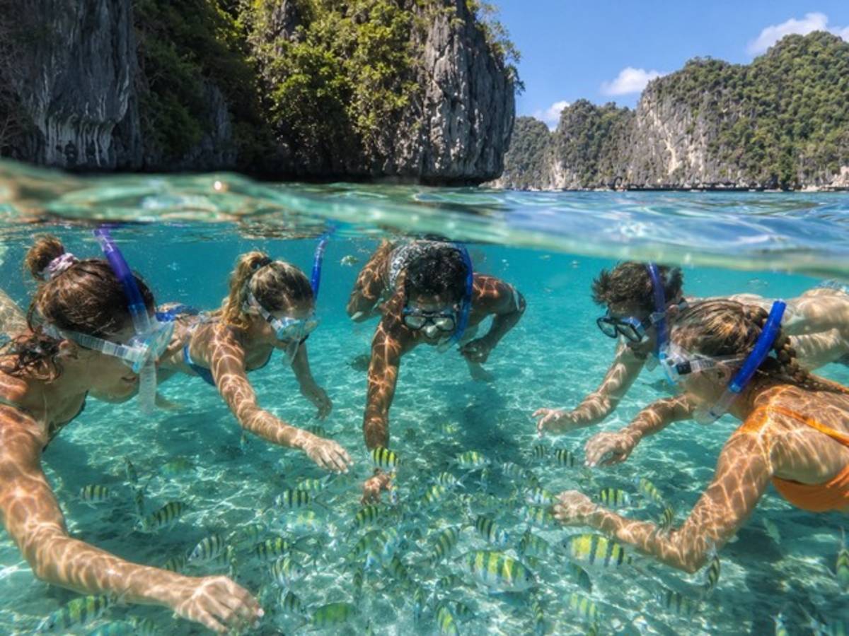 Travellers snorkelling with tropical fish in clear water