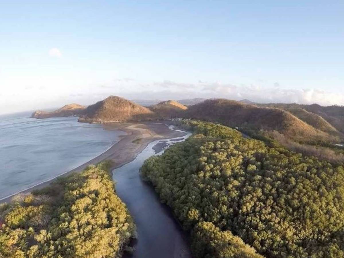 Tropical Field Research