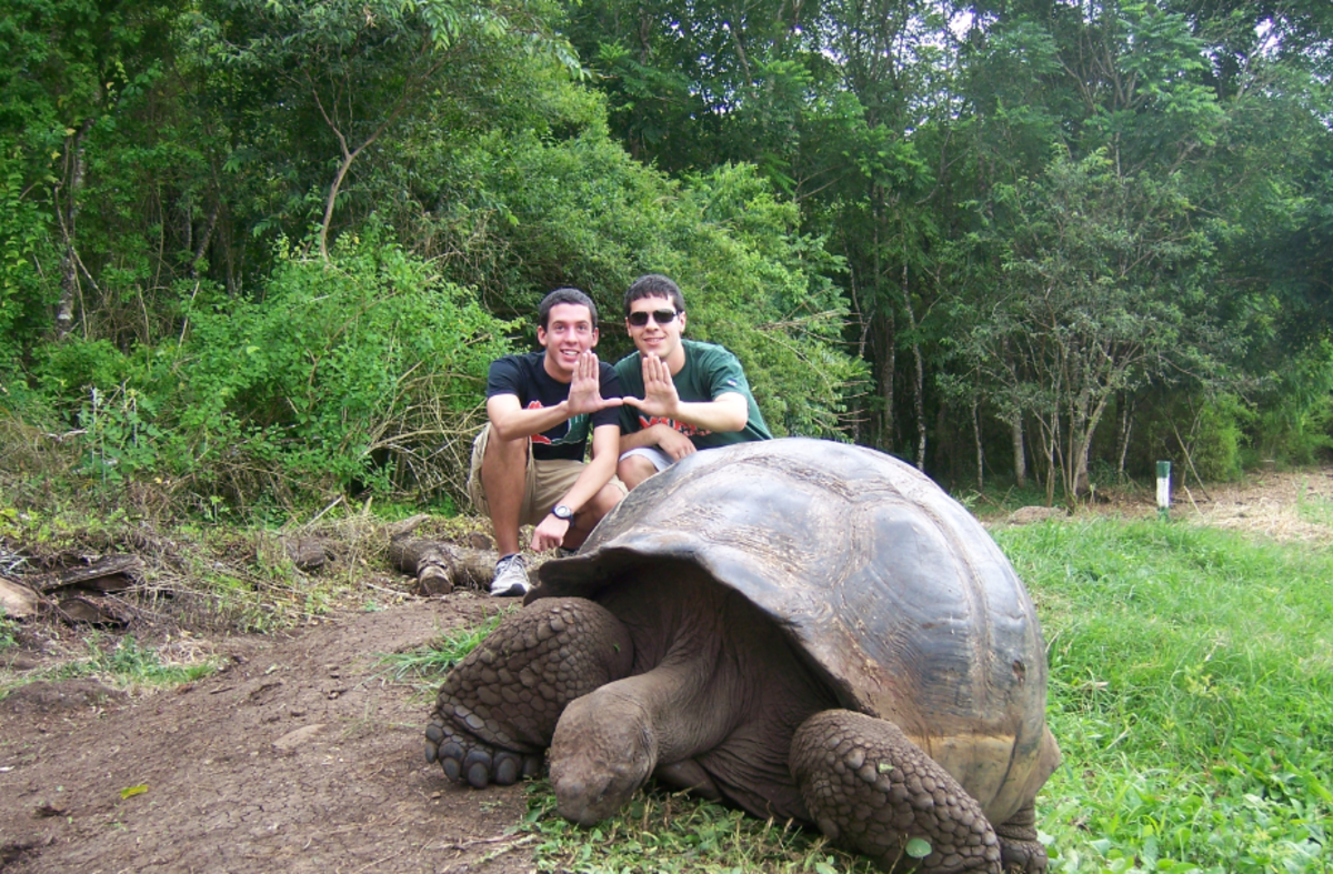 two men posing for a photo with a tortoise