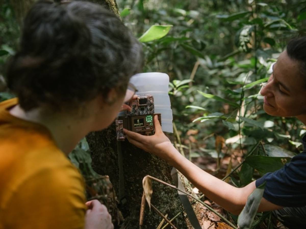 Two people setting up a camera trap in the forest