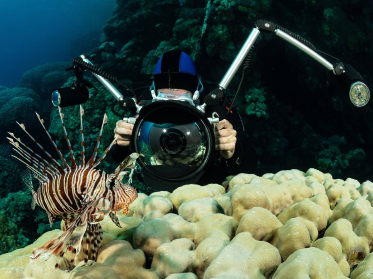 Underwater Photography Workshop, South Africa