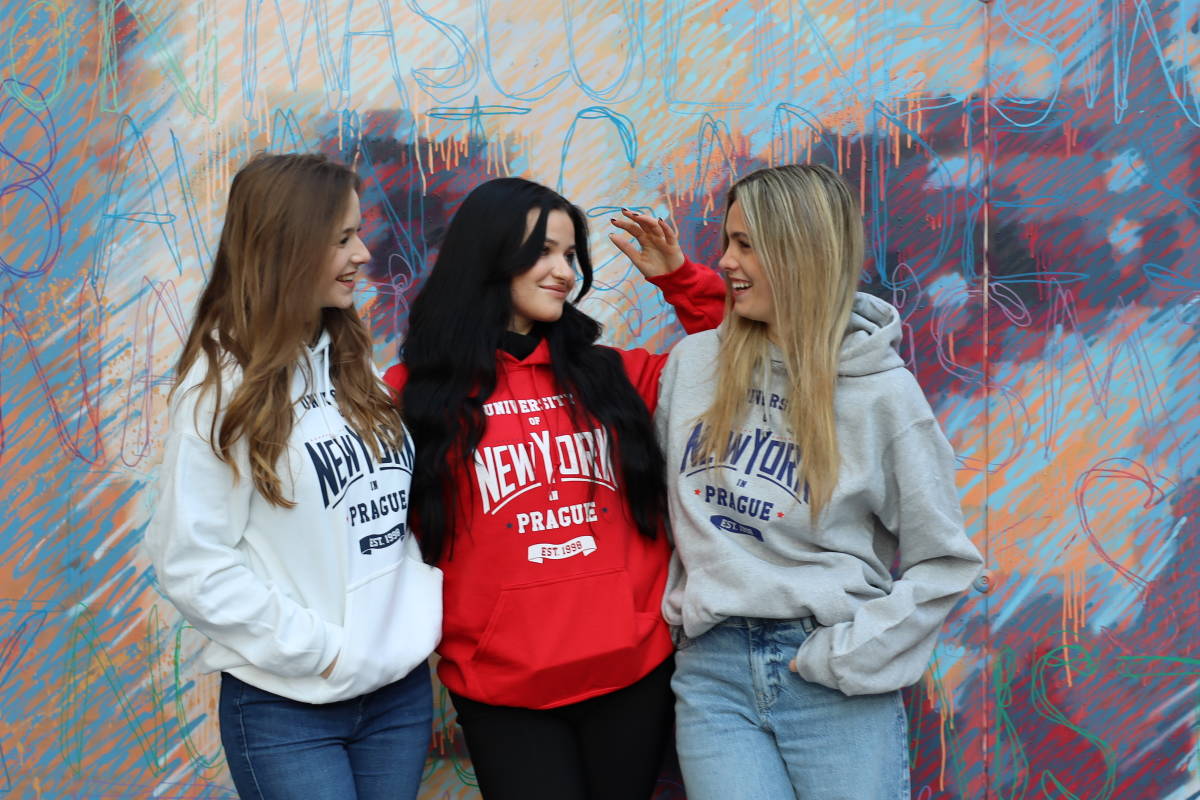 University of New York in Prague