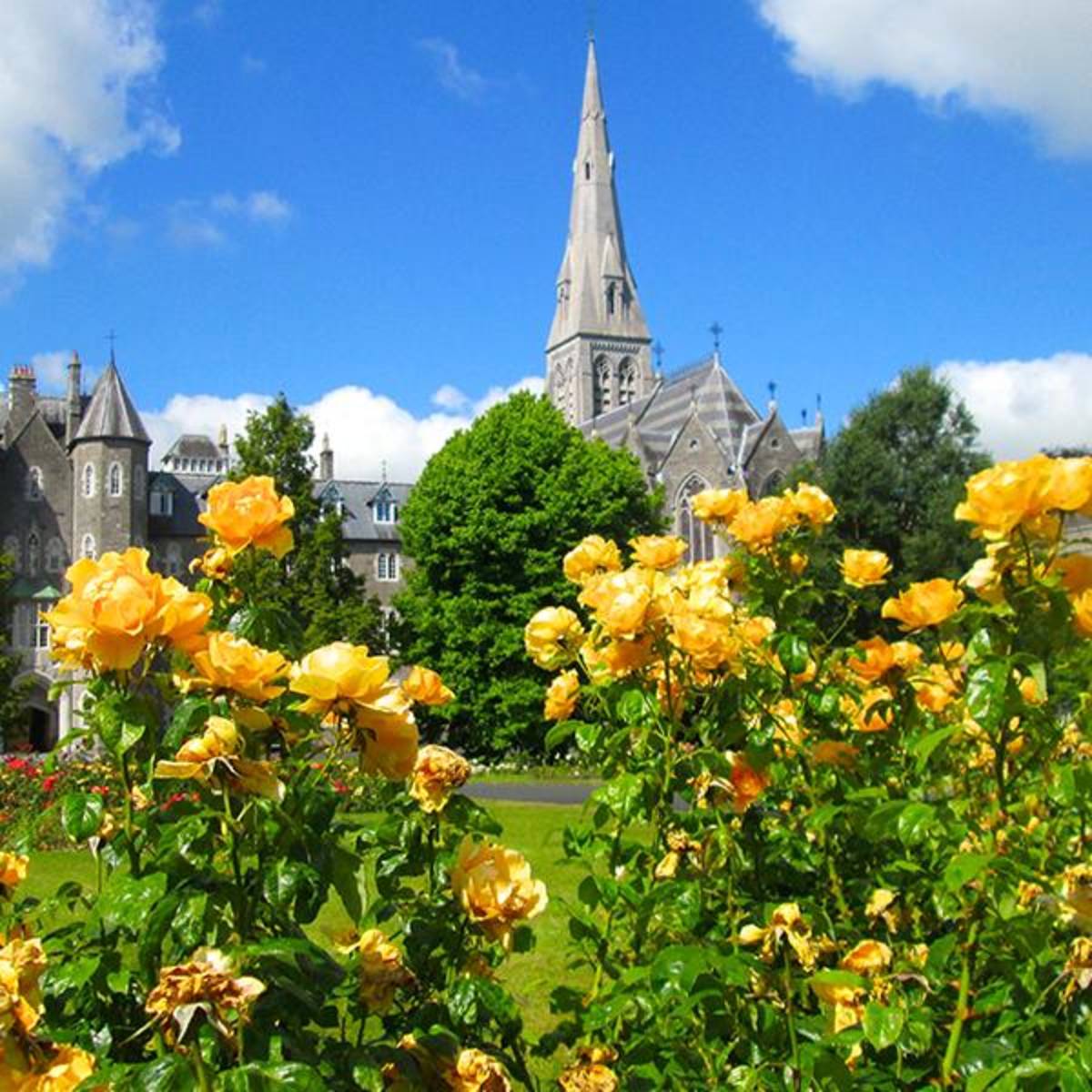 AIFS Abroad in Maynooth, Republic of Ireland: Summer — photo 1